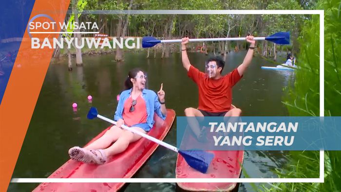 Adu Cepat Mengumpulkan Bola di Kawasan Mangrove Pantai Cacalan, Banyuwangi