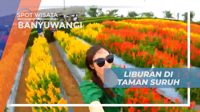 Liburan Seru, Mengunjungi Indahnya Warna-warni Cantik Taman Suruh, Banyuwangi