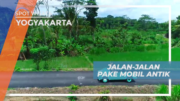 Menelusuri Indahnya Persawahan Hijau Kota Gudeg Naik Mobil Antik, Yogyakarta