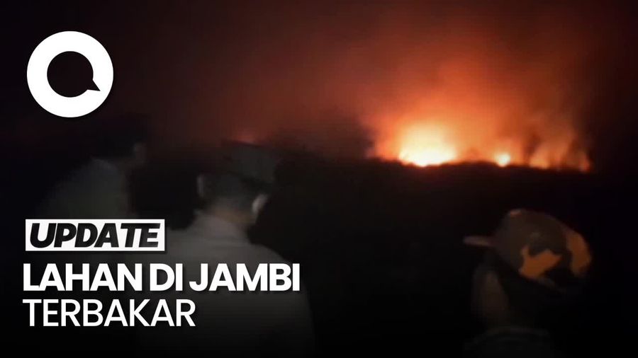 Penampakan Kebakaran Hebat Lahan di Muaro Jambi