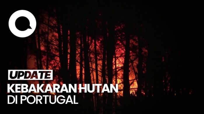 1.400 Orang Diungsikan Imbas Kebakaran Hutan di Portugal