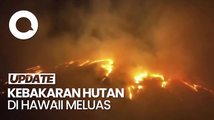 10.000 Orang Dievakuasi Imbas Kebakaran Hutan di Hawaii