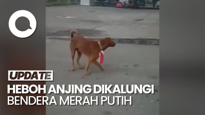 Permintaan Maaf Pria yang Kalungkan Bendera Merah Putih ke Anjing