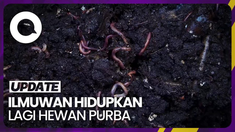 Hewan Ini Dihidupkan Lagi usai Tidur 46.000 Tahun