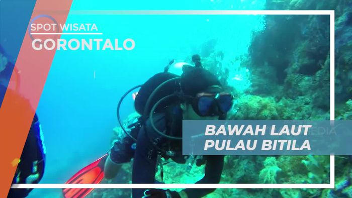 Diving Menikmati Keindahan Bawah Laut Pulau Bitila Gorontalo