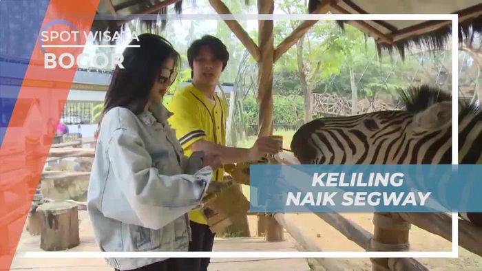 Momen Seru Memberi Makan Satwa di Kota Bogor