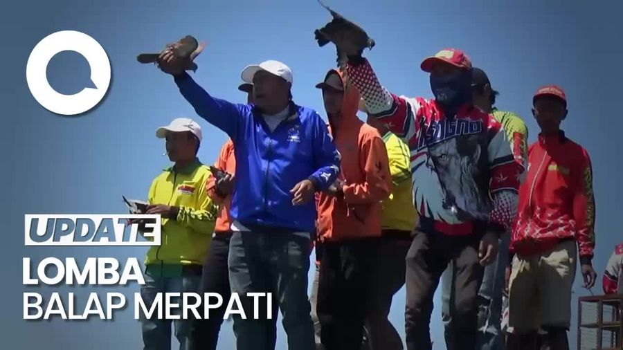 Keseruan Lomba Balap Merpati se-Indonesia, Hadiah Capai Ratusan Juta