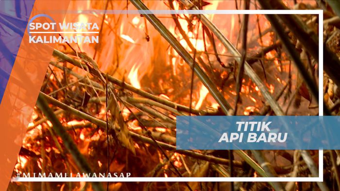 Bahu-membahu Padamkan Kebakaran Hutan yang Semakin Meluas, Kalimantan Tengah