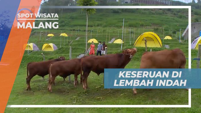 Vacation Seru, Mengunjngi Sejuknya Taman Agrowisata, Malang