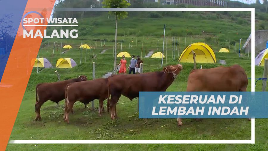 Vacation Seru, Mengunjngi Sejuknya Taman Agrowisata, Malang