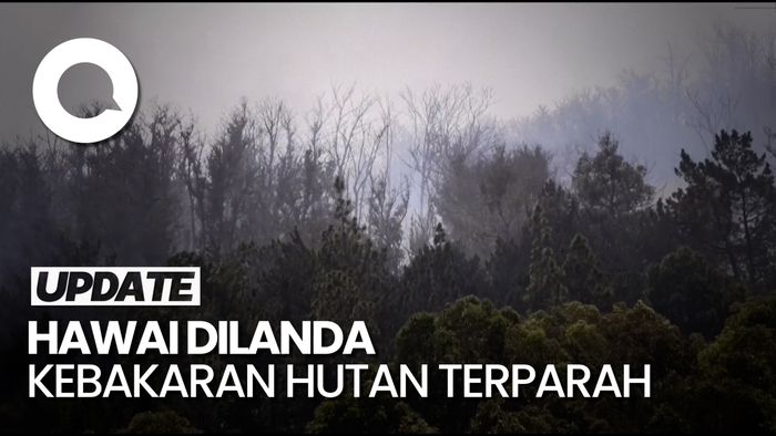 Korban Tewas Akibat Kebakaran Hutan di Hawaii Capai 93 Jiwa