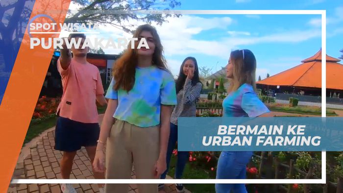 Berkunjung ke Urban Farming Center Purwakarta