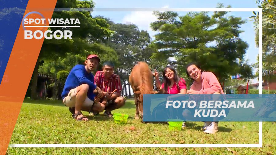 Cekrak-cekrek Berfoto Seru Bareng Kuda Lucu Menggemaskan, Bogor