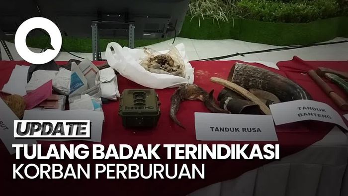 KLHK Temukan Tulang Belulang Badak Korban Perburuan di TN Ujung Kulon 