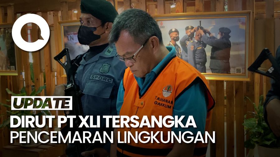 Pasal Berlapis yang Jerat Dirut PT XLI Terkait Kasus Pencemaran Lingkungan