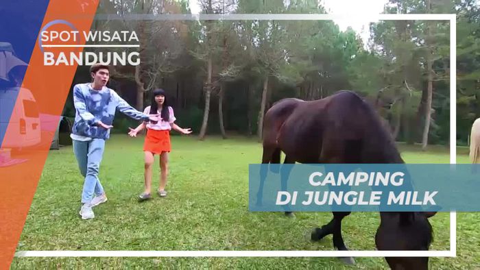 Berkemah Seru di Jungle Milk Bandung