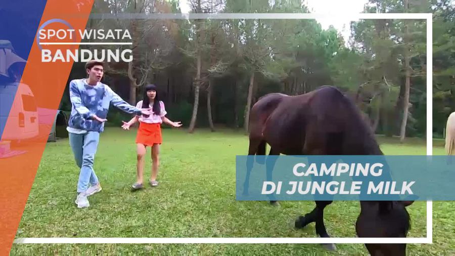 Berkemah Seru di Jungle Milk Bandung