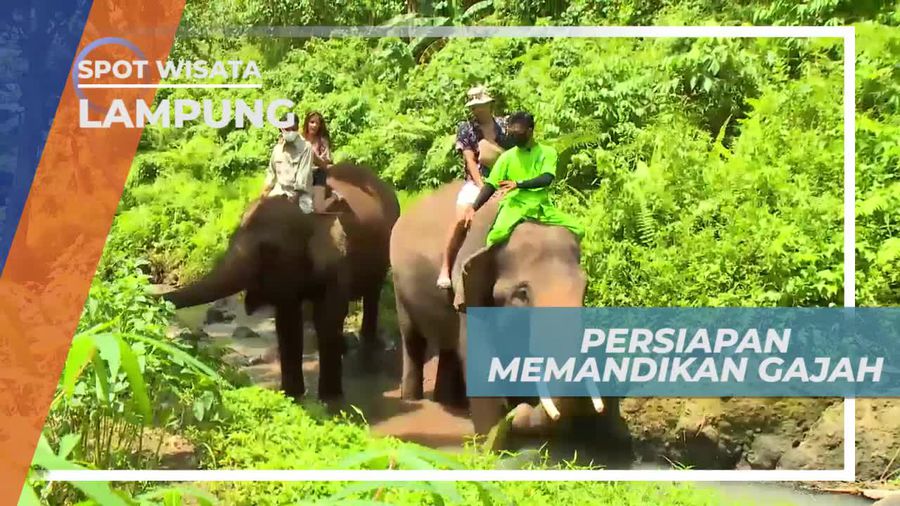 Persiapan Sebelum Memandikan Gajah, Lampung