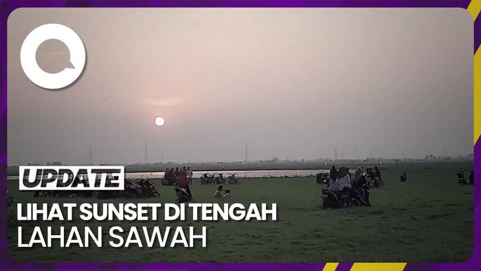 Lahan Sawah Mengering di Pati Jadi Tempat Wisata Dadakan