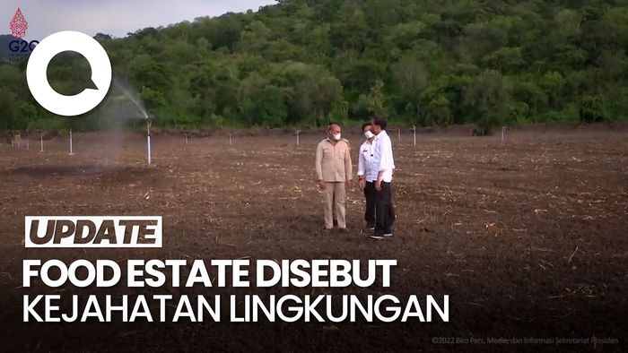 Selisih Pendapat Hasto-Puan soal Food Estate Kejahatan Lingkungan