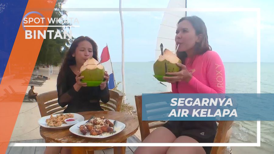 Hilangkan Dahaga, Menikmati Kesegaran Air Kelapa Muda di Tepi Pantai, Bintan
