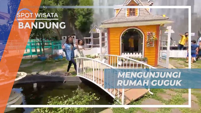 Liburan di Kota Kembang, Mengujungi Surganya Para Pecinta Anjing, Bandung