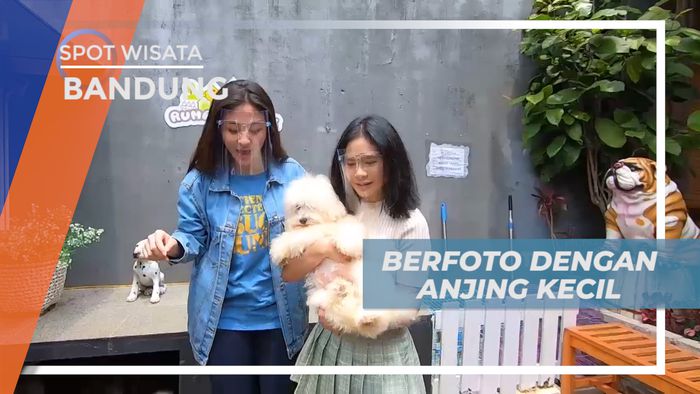 Cekrak-cekrek Berpose Seru Dengan Anjing Imut nan Lucu, Bandung