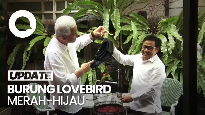 Guyon Ganjar ke Cak Imin soal Lovebird: Kepalanya Merah, Badannya Hijau
