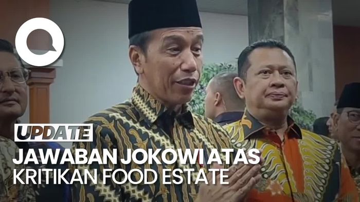 Jawaban Jokowi saat Hasto PDIP Kritik Food Estate Kejahatan Lingkungan
