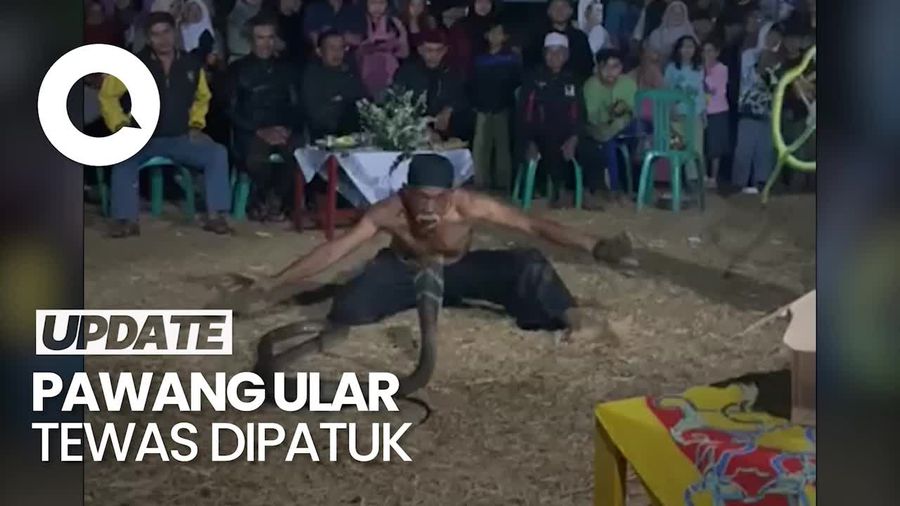 Nahas Nasib Pawang di Sumedang, Tewas Digigit Ular Sendiri Usai Atraksi