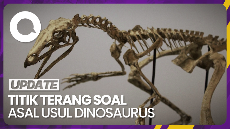 Temuan Fosil di Brasil Diyakini Jadi Kunci Memahami Asal Dinosaurus