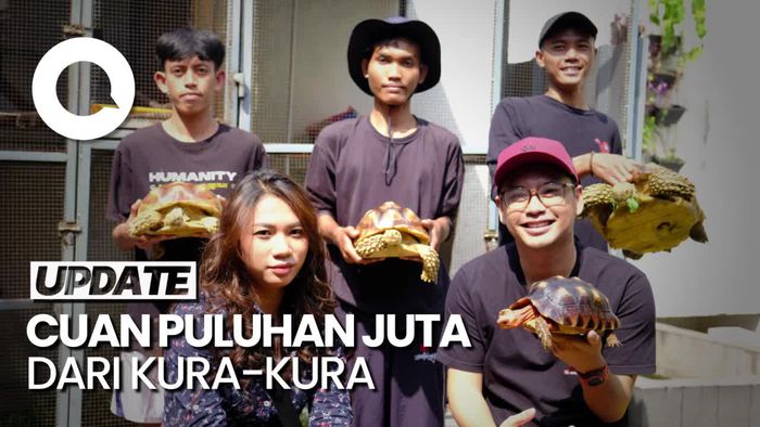 Resign dari PNS, Raup Cuan Puluhan Juta dari Budi Daya Kura-kura