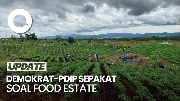 PD Setuju dengan Hasto yang Sebut Food Estate Kejahatan Lingkungan