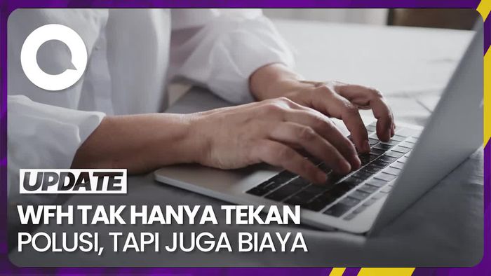 Kata Pengamat soal WFH Tekan Polusi: Ada Hal Lain yang Ikut Tereduksi