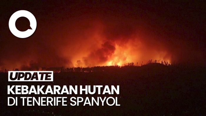 Puluhan Ribu Warga Dievakuasi Buntut Kebakaran Hutan di Spanyol