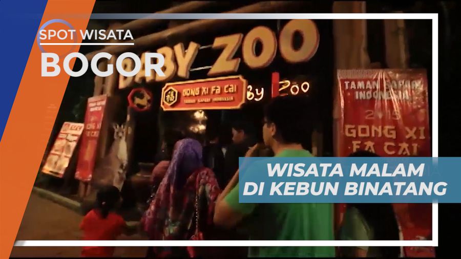 Pengalaman Seru, Sensasi Wisata Malam di Kebun Bintang, Bogor