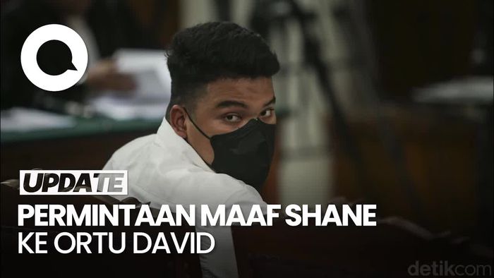Pleidoi Shane: Minta Maaf ke Ortu David dan Menyesal