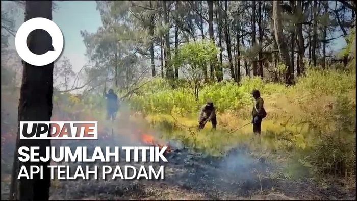 Penampakan Kebakaran di Hutan Gunung Semeru