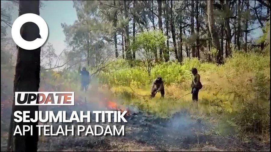 Penampakan Kebakaran di Hutan Gunung Semeru