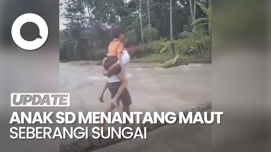 Viral Anak SD di Nias Seberangi Sungai Deras Pakai Batang Kelapa