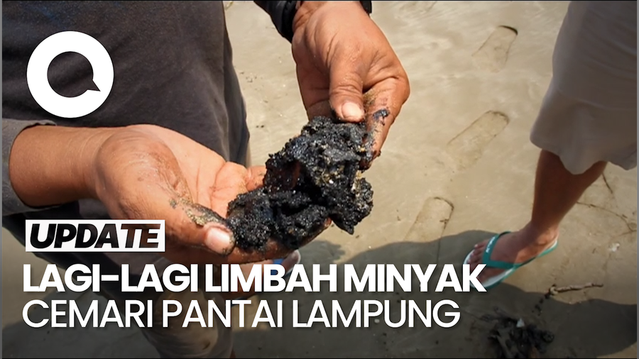 Limbah Minyak Mentah Kembali Cemari Pantai Lampung