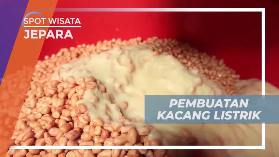 Melihat Pengolahan Kacang Listrik Khas Jepara