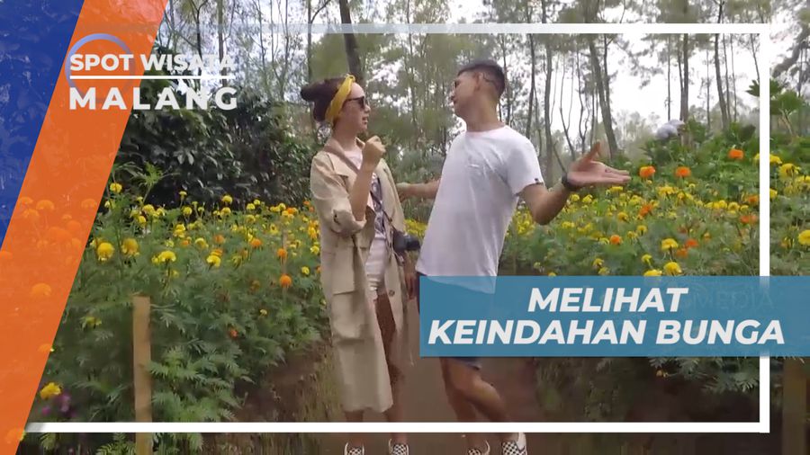 Menikmati Indahnya Warna-warni Cantik Bunga di Taman Pagupon, Malang