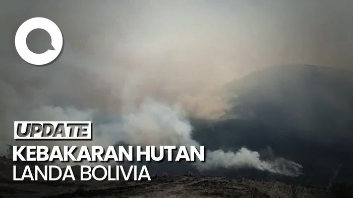 Kebakaran Hutan di Bolivia Meluas, 5 Warga Dilaporkan Tewas