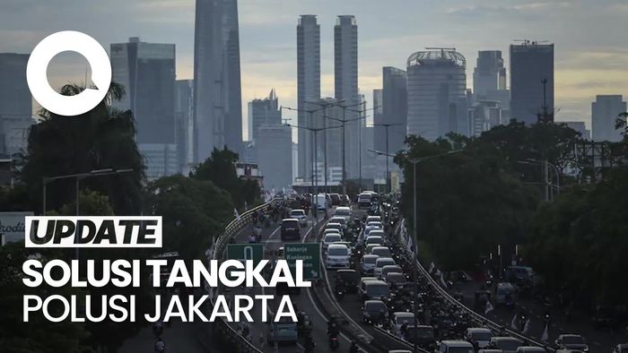 Siasat Pemprov DKI Tangkal Polusi Udara: Tanam Pohon-WFH