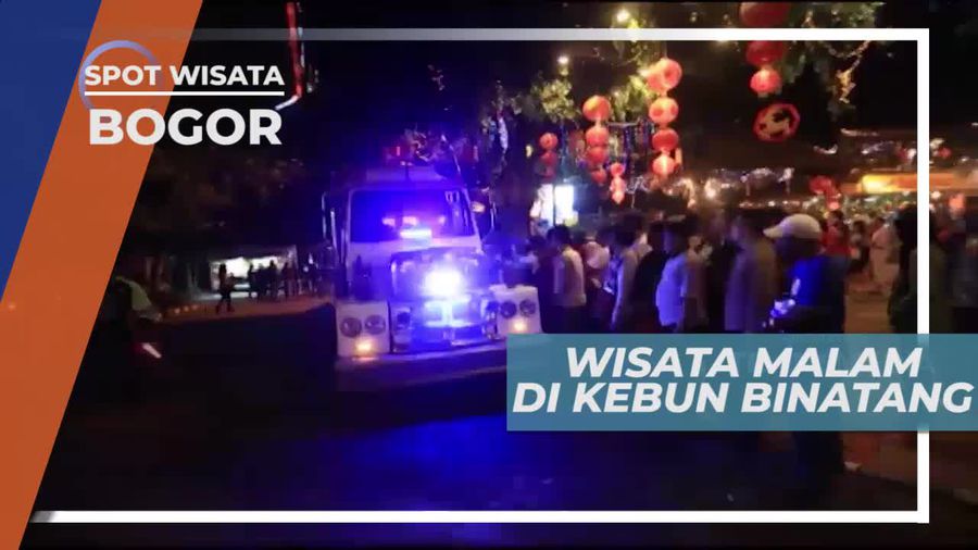 Bersafari Malam di Kebun Binatang Bogor
