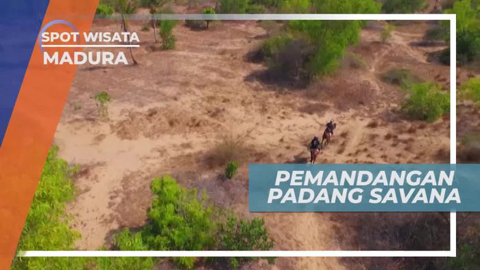 Panorama Keindahan Padang Savana di Madura