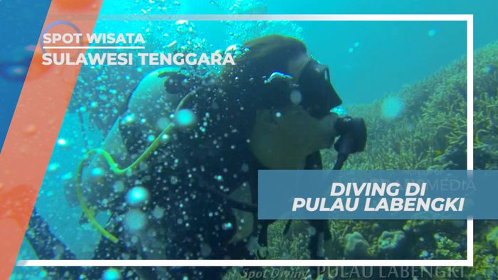 Menyelami Indahnya Surga Bawah Laut Pulau Labengki yang Mempesona, Sulawesi Tenggara