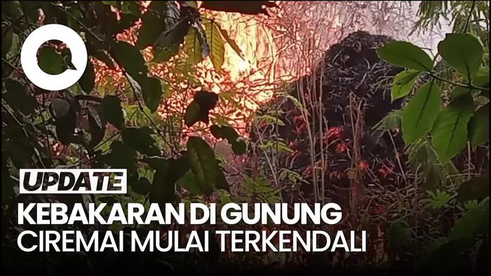 Momen Petugas Berjibaku Padamkan Api di Gunung Ciremai