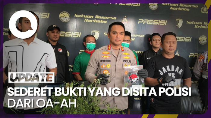 Polisi Sita Pupuk hingga 5 Pot Tanaman Ganja Milik Oge Arthemus 
